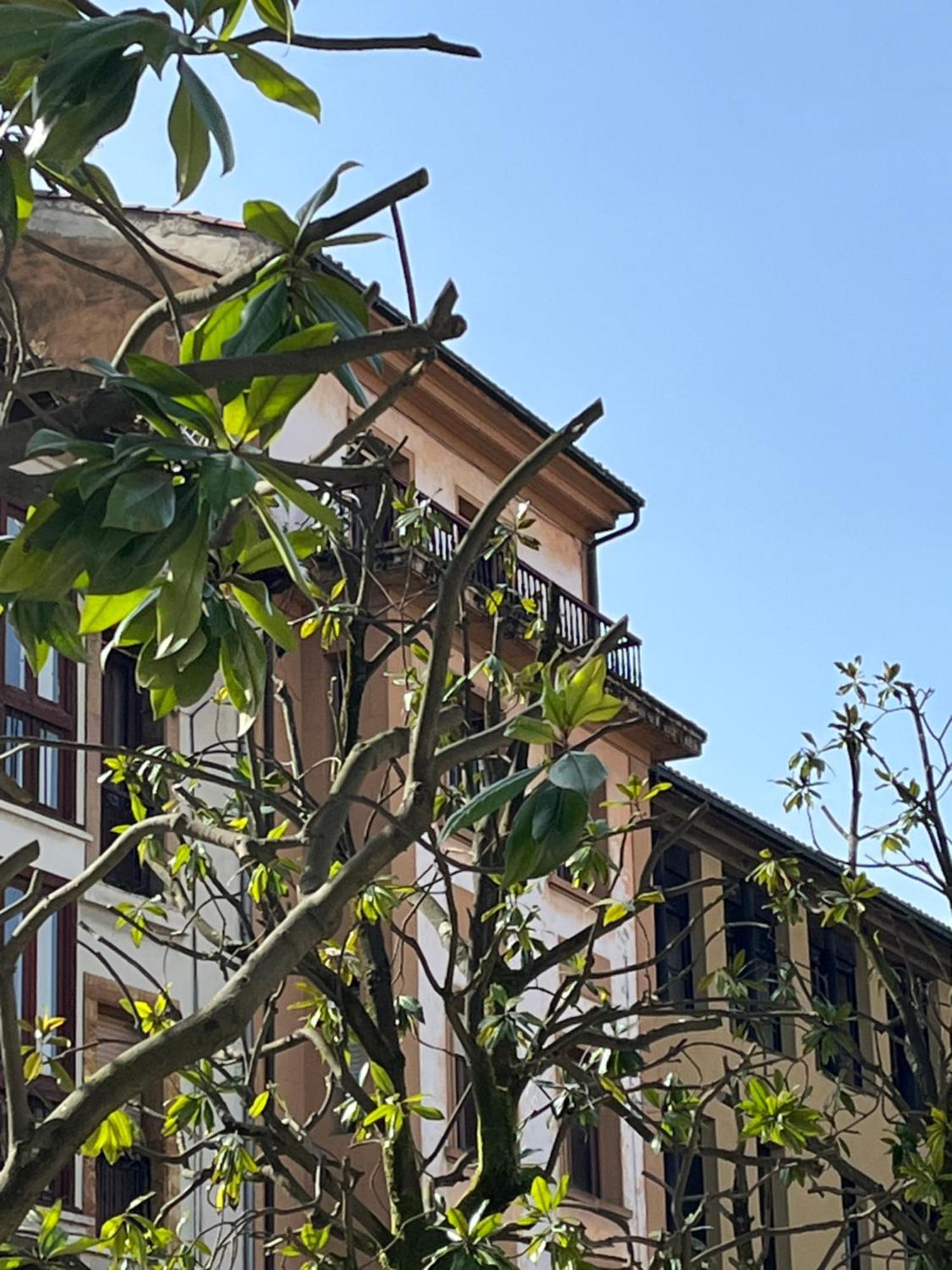 Apartamento Salsipuedes-La Catedral Oviedo Kültér fotó